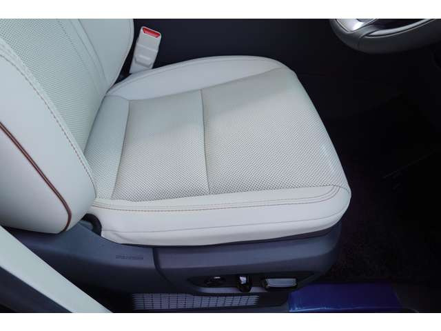 �^�]�ȁE�傫�Ȃ����ւ���Ȃǖ������ꂢ�ȏ�Ԃł��B�����I�[�i�[�E�։��ԁE���ȓ����Ȃǌ�����܂���B