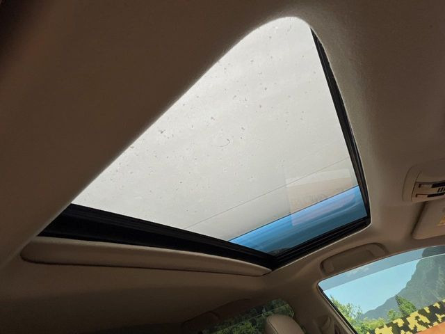 �y�T�����[�t�z�J���������Ղ�̊󏭑����A�T�����[�t����������Ă��܂�!�ԓ��ɖ�����������ꂽ��i�F���y���ވȊO�ɂ��A�ԓ��̋�C���ȒP�Ɋ��C�ł��ĉ��K�ł�!