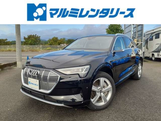 e-tron(�A�E�f�B) 50 �N���g�� S���C�� 4WD ���Îԉ摜