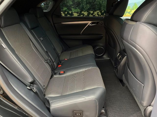 �㕔���Ȃ��C�ɂȂ�悤�ȃL�Y�E�����ւ��蓙�A�傫�ȃ_���[�W�͂Ȃ��A�ǍD�ȏ�Ԃł��B