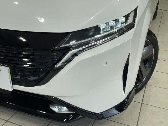 �㕔���Ȃ��C�ɂȂ�悤�ȃL�Y�E�����ւ��蓙�A�傫�ȃ_���[�W�͂Ȃ��A�ǍD�ȏ�Ԃł��B