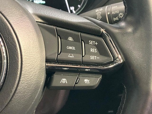 �y�}�c�_�E���[�_�[�N���[�Y�R���g���[���z�������H�ł̒��������s���y��!�����ő��x��ۂN���[�Y�R���g���[�����A�Փˌy���V�X�e���ƘA�g���A�O���̎ԗ������m���ĎԊԂ�ۂ悤�ɑ��x���߂��Ă���܂�!!