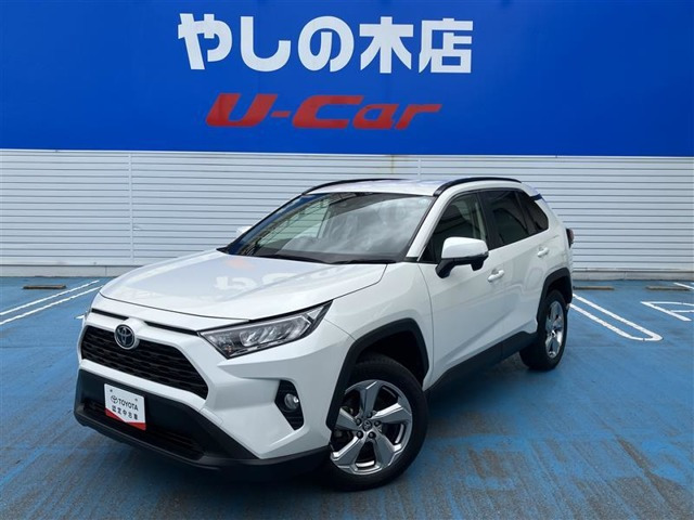 RAV42.0 X