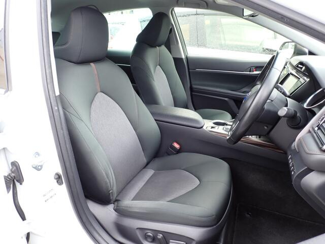 �^�]�Ȃ��傫�ȎC����Ȃ���ԗǍD�ł��B