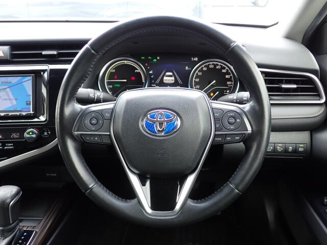 �傫�ȎC����Ȃ���ԗǍD�ł��B