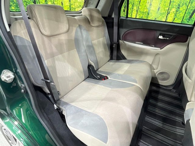 �㕔���Ȃ��C�ɂȂ�悤�ȃL�Y�E�����ւ��蓙�A�傫�ȃ_���[�W�͂Ȃ��A�ǍD�ȏ�Ԃł��B