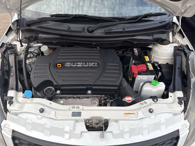 クリーニング済み