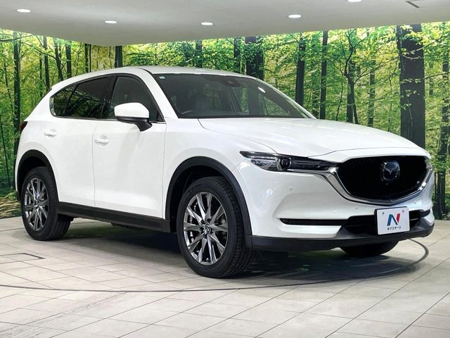 高透明度のガラス皮膜で撥水はもちろん、上質なツヤ・光沢を実現。紫外線や酸性雨から大切な愛車を保護し、色あせ・劣化を防止。「弾スプラッシュコート」、「弾プリミッサコート」からお選びいただけます。