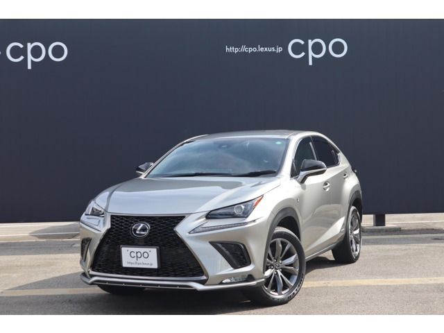 NX300h Fスポーツ