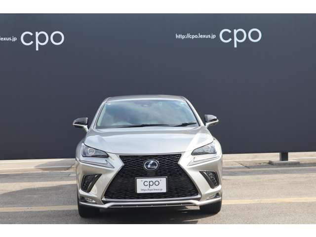 NX300h Fスポーツ
