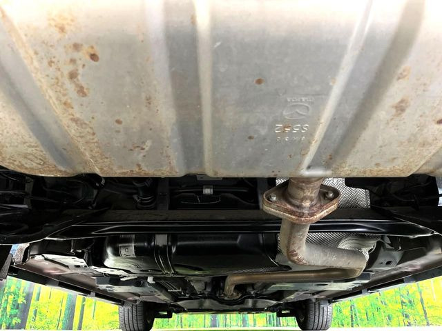 ����肪���ꂢ�Ȃ����ɁA�h�K���H�̎{�H���I�X�X���B�~��n��͂������A���ݕ��ɂ��Z���̕���A��Ń}�����E�E�B���^�[�X�|�[�c���������ɂ��D�]���������Ă���܂��B