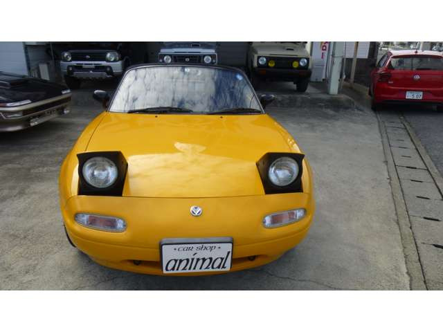 可愛いくぱっちりの     リトラクターライトです。