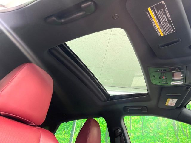 �y�T�����[�t�z�J���������Ղ�̊󏭑����A�T�����[�t����������Ă��܂�!�ԓ��ɖ�����������ꂽ��i�F���y���ވȊO�ɂ��A�ԓ��̋�C���ȒP�Ɋ��C�ł��ĉ��K�ł�!