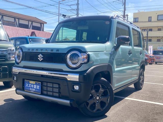 ハスラータフワイルド