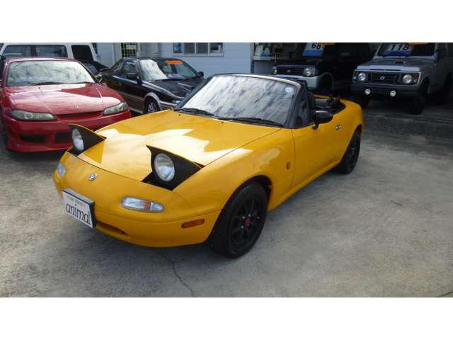 可愛いくぱっちりの     リトラクターライトです。