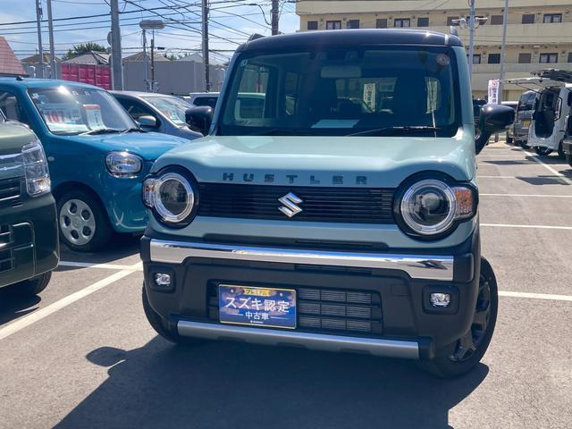 ハスラータフワイルド