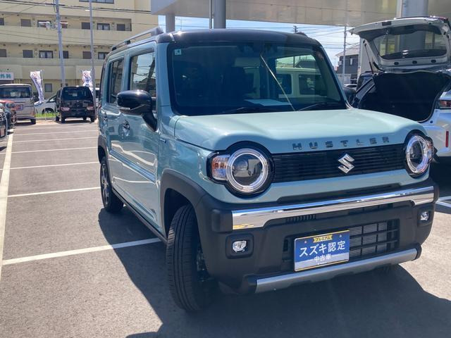 ハスラータフワイルド