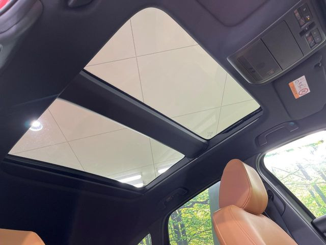 �y�T�����[�t�z�J���������Ղ�̊󏭑����A�T�����[�t����������Ă��܂�!�ԓ��ɖ�����������ꂽ��i�F���y���ވȊO�ɂ��A�ԓ��̋�C���ȒP�Ɋ��C�ł��ĉ��K�ł�!