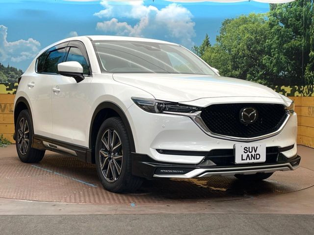 高透明度のガラス皮膜で撥水はもちろん、上質なツヤ・光沢を実現。紫外線や酸性雨から大切な愛車を保護し、色あせ・劣化を防止。「弾スプラッシュコート」、「弾プリミッサコート」からお選びいただけます。