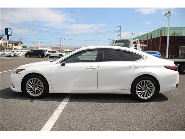 ���Ǝҗl�ւ̔̔��͂��f�肳���Ă��������܂��B �Ԍ������ԗ��̏ꍇ�́A�Ԍ����擾�������x�������z�ŕ\�����Ă���܂��B