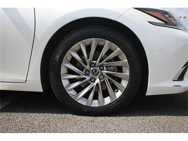 ���Ǝҗl�ւ̔̔��͂��f�肳���Ă��������܂��B �Ԍ������ԗ��̏ꍇ�́A�Ԍ����擾�������x�������z�ŕ\�����Ă���܂��B