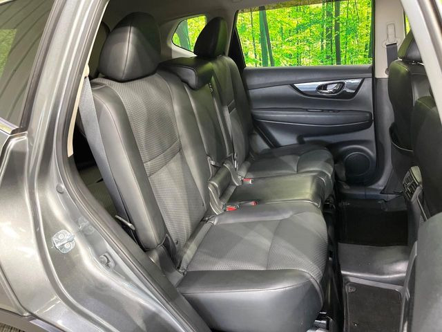 �㕔���Ȃ��C�ɂȂ�悤�ȃL�Y�E�����ւ��蓙�A�傫�ȃ_���[�W�͂Ȃ��A�ǍD�ȏ�Ԃł��B