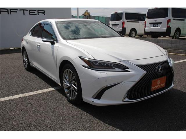 ���Ǝҗl�ւ̔̔��͂��f�肳���Ă��������܂��B �Ԍ������ԗ��̏ꍇ�́A�Ԍ����擾�������x�������z�ŕ\�����Ă���܂��B