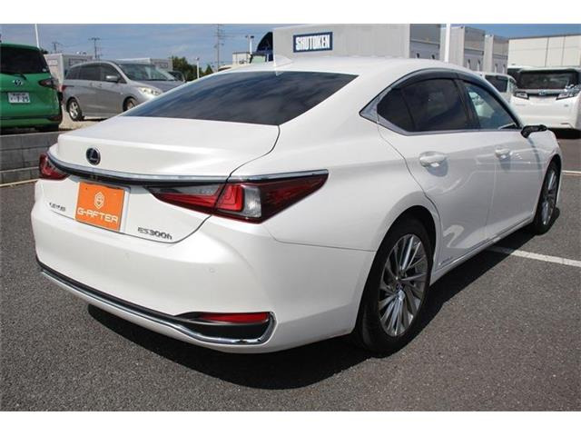 ���Ǝҗl�ւ̔̔��͂��f�肳���Ă��������܂��B �Ԍ������ԗ��̏ꍇ�́A�Ԍ����擾�������x�������z�ŕ\�����Ă���܂��B