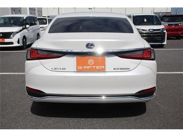 ���Ǝҗl�ւ̔̔��͂��f�肳���Ă��������܂��B �Ԍ������ԗ��̏ꍇ�́A�Ԍ����擾�������x�������z�ŕ\�����Ă���܂��B