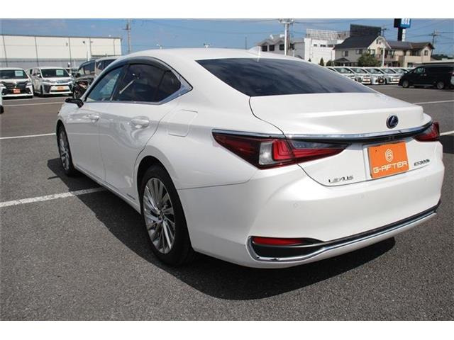 ���Ǝҗl�ւ̔̔��͂��f�肳���Ă��������܂��B �Ԍ������ԗ��̏ꍇ�́A�Ԍ����擾�������x�������z�ŕ\�����Ă���܂��B