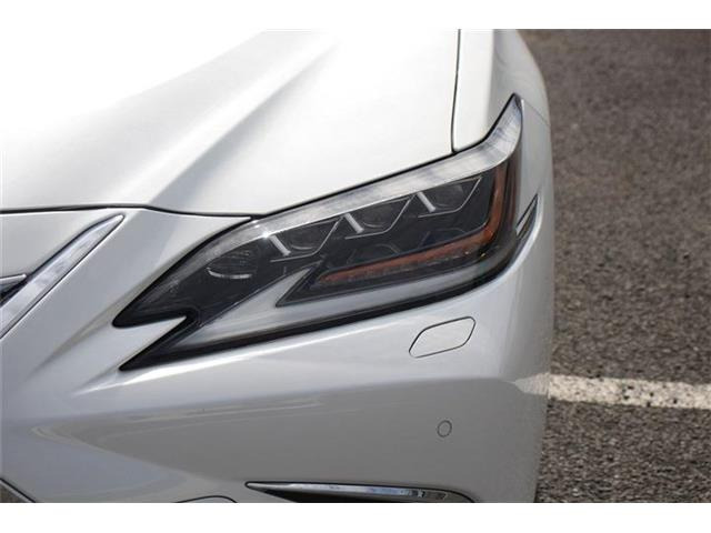 ���Ǝҗl�ւ̔̔��͂��f�肳���Ă��������܂��B �Ԍ������ԗ��̏ꍇ�́A�Ԍ����擾�������x�������z�ŕ\�����Ă���܂��B