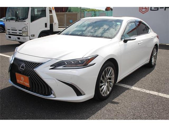 ���Ǝҗl�ւ̔̔��͂��f�肳���Ă��������܂��B �Ԍ������ԗ��̏ꍇ�́A�Ԍ����擾�������x�������z�ŕ\�����Ă���܂��B