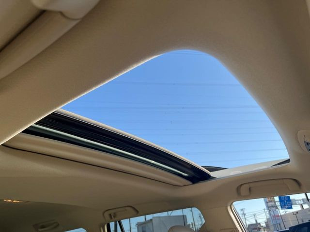 �y�T�����[�t�z�J���������Ղ�̊󏭑����A�T�����[�t����������Ă��܂�!�ԓ��ɖ�����������ꂽ��i�F���y���ވȊO�ɂ��A�ԓ��̋�C���ȒP�Ɋ��C�ł��ĉ��K�ł�!