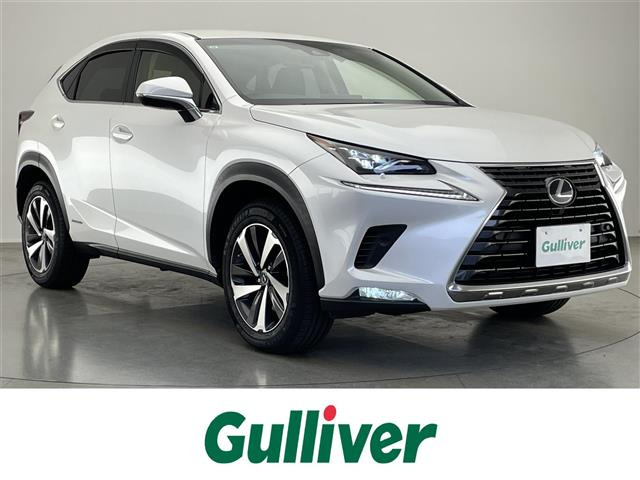 NX300h Iパッケージ