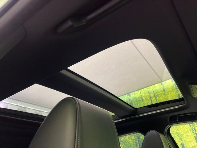 �y�T�����[�t�z�J���������Ղ�̊󏭑����A�T�����[�t����������Ă��܂�!�ԓ��ɖ�����������ꂽ��i�F���y���ވȊO�ɂ��A�ԓ��̋�C���ȒP�Ɋ��C�ł��ĉ��K�ł�!