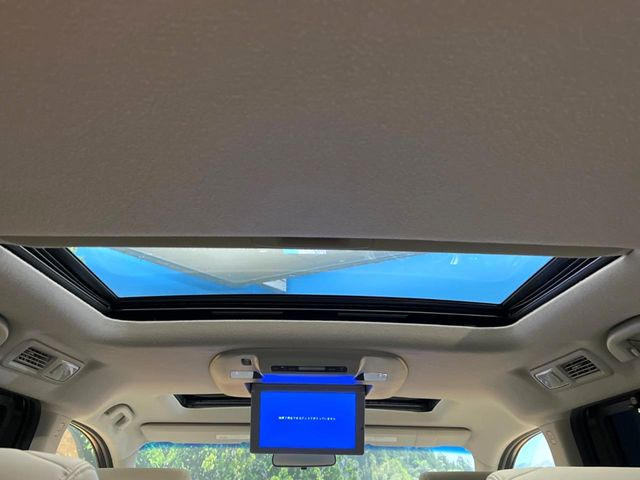 �y�T�����[�t�z�J���������Ղ�̊󏭑����A�T�����[�t����������Ă��܂�!�ԓ��ɖ�����������ꂽ��i�F���y���ވȊO�ɂ��A�ԓ��̋�C���ȒP�Ɋ��C�ł��ĉ��K�ł�!