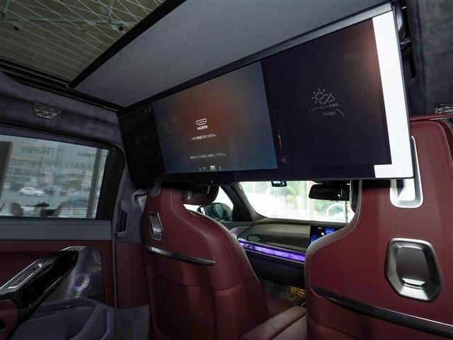 オプション:31.3インチBMWシアタースクリーン