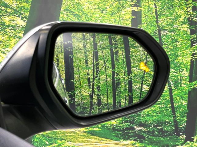 �y�u���C���h�X�|�b�g���j�^�[�z���s���A�h�A�~���[�̎��p�ɂȂ�₷���ӏ��Ɍ㑱�Ԃ��ڋ߂���ƃT�C�h�~���[�̃����Y�Ɍx����\��!�h���C�o�[�ɒ��ӊ��N�����Ă���܂��B