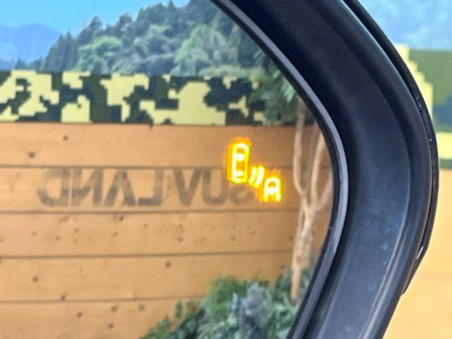 �y�u���C���h�X�|�b�g���j�^�[�z���s���A�h�A�~���[�̎��p�ɂȂ�₷���ӏ��Ɍ㑱�Ԃ��ڋ߂���ƃT�C�h�~���[�̃����Y�Ɍx����\��!�h���C�o�[�ɒ��ӊ��N�����Ă���܂��B