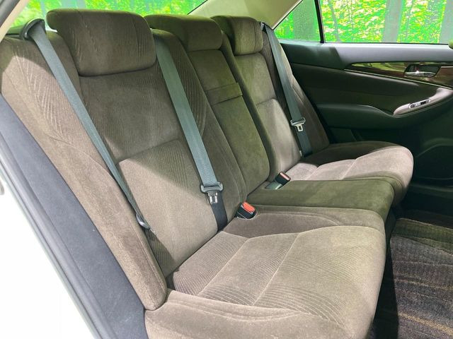 �㕔���Ȃ��C�ɂȂ�悤�ȃL�Y�E�����ւ��蓙�A�傫�ȃ_���[�W�͂Ȃ��A�ǍD�ȏ�Ԃł��B