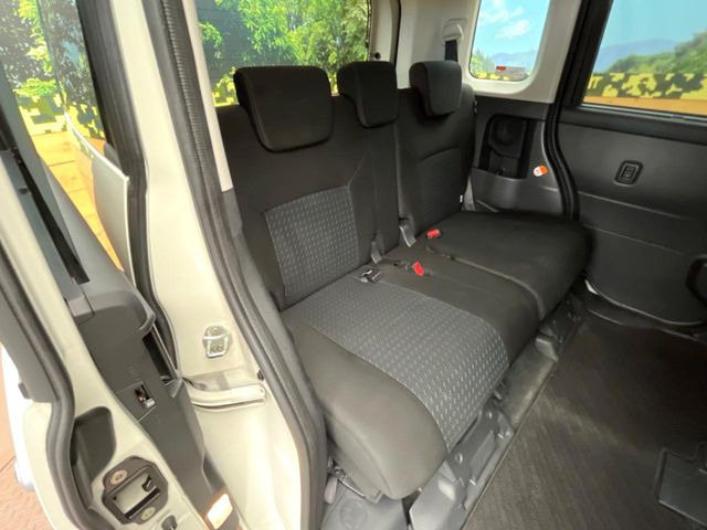 �㕔���Ȃ��C�ɂȂ�悤�ȃL�Y�E�����ւ��蓙�A�傫�ȃ_���[�W�͂Ȃ��A�ǍD�ȏ�Ԃł��B