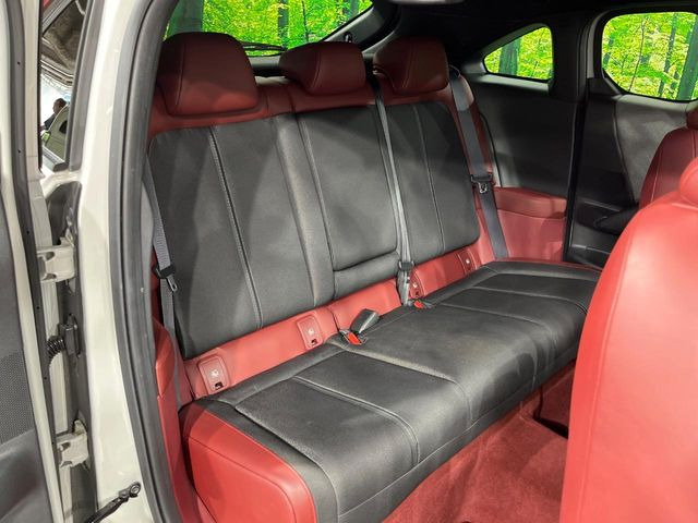 �㕔���Ȃ��C�ɂȂ�悤�ȃL�Y�E�����ւ��蓙�A�傫�ȃ_���[�W�͂Ȃ��A�ǍD�ȏ�Ԃł��B