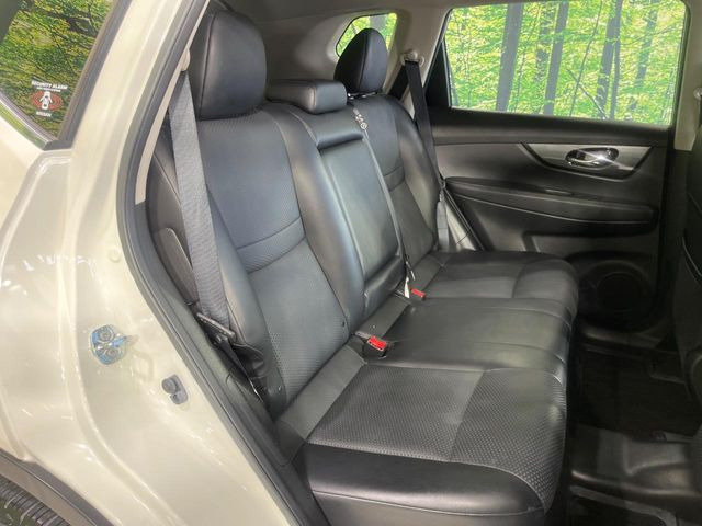 �㕔���Ȃ��C�ɂȂ�悤�ȃL�Y�E�����ւ��蓙�A�傫�ȃ_���[�W�͂Ȃ��A�ǍD�ȏ�Ԃł��B