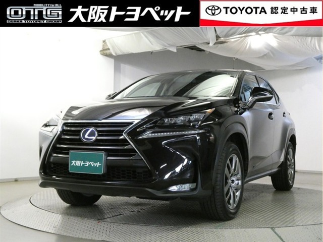 NX300h Iパッケージ