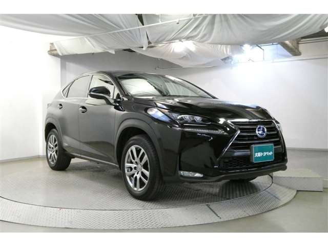 NX300h Iパッケージ