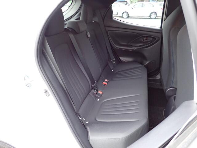 �㕔���Ȃ��傫�ȎC����Ȃ���ԗǍD�ł��B