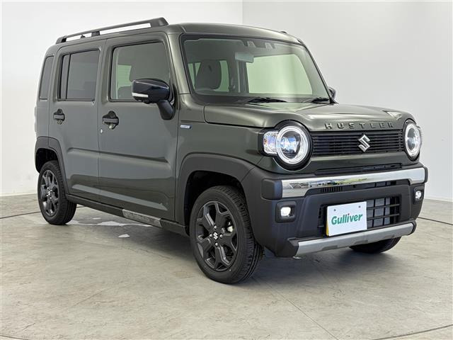 ハスラータフワイルド