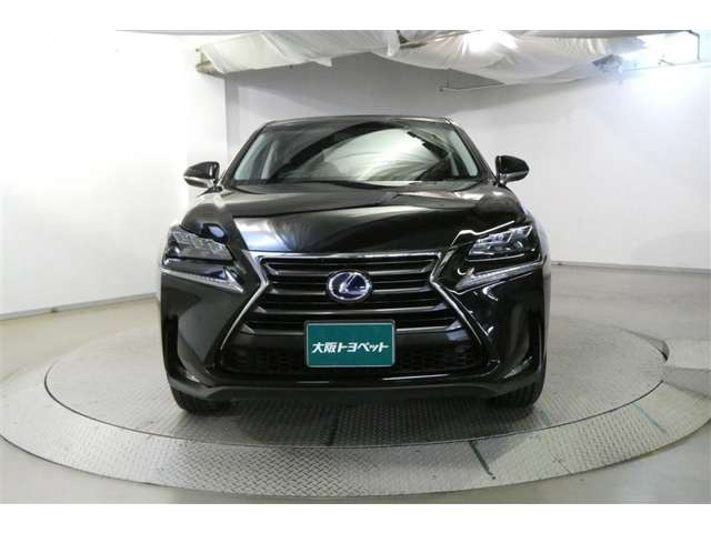 NX300h Iパッケージ