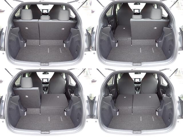 �㕔���Ȕw������͕������Ă���̂ŁA�ʁX�ɓ|�������\�ł���ו��̗ʂɉ����ăA�����W�o����̂ŁA�������ł���!