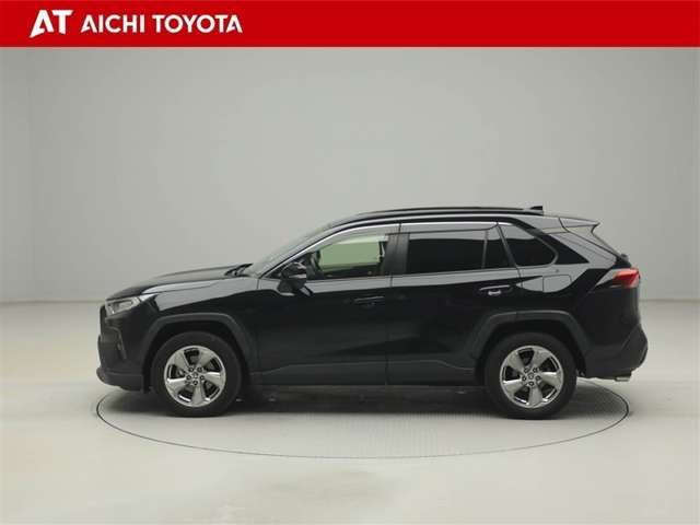 RAV42.0 X
